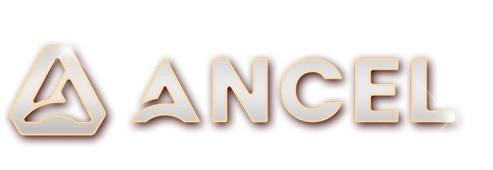 ANCEL Official Site